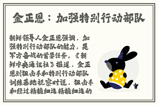 巴基斯坦BBBBBBSB